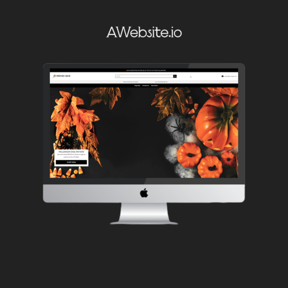 AWebsite.io - Portfolio Item